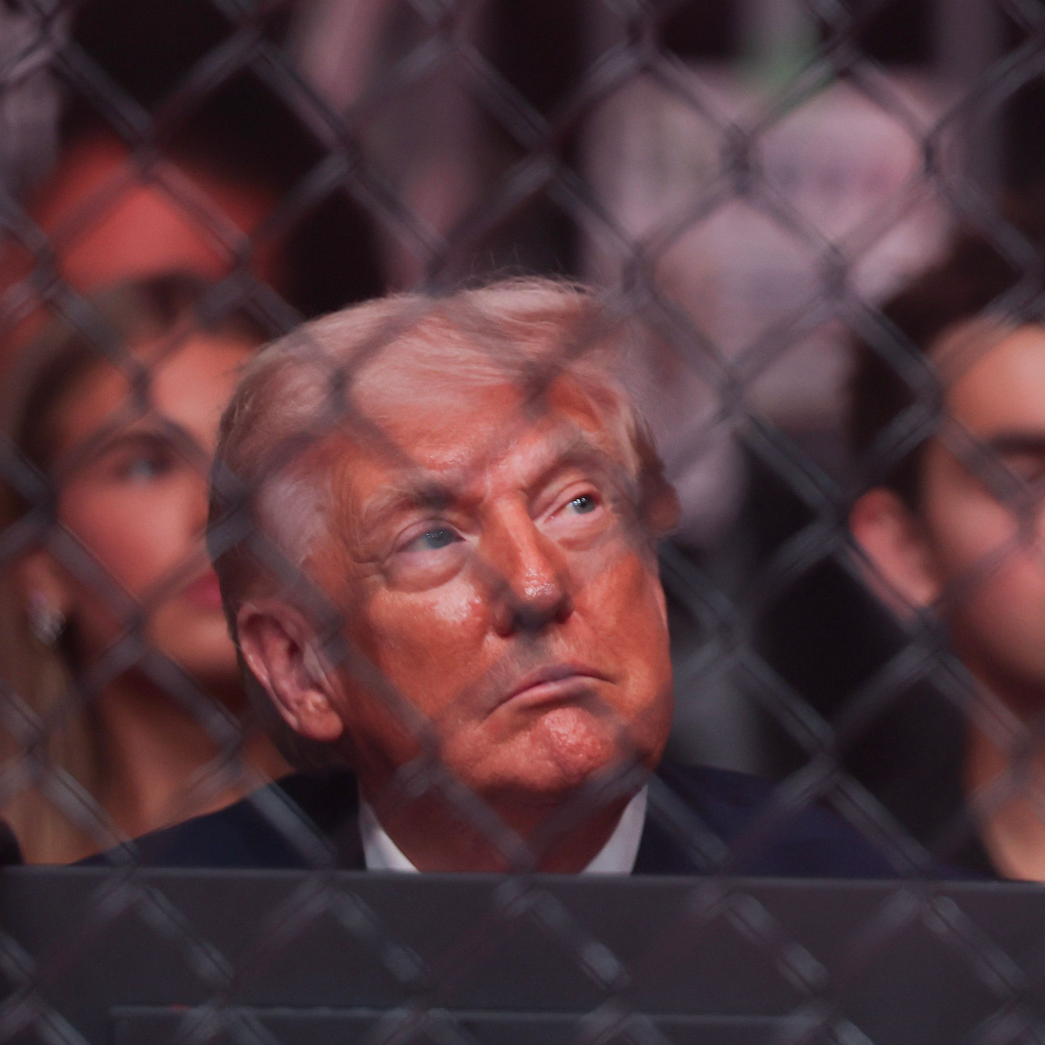 Why Trump is bringing a cage fight to the White House
