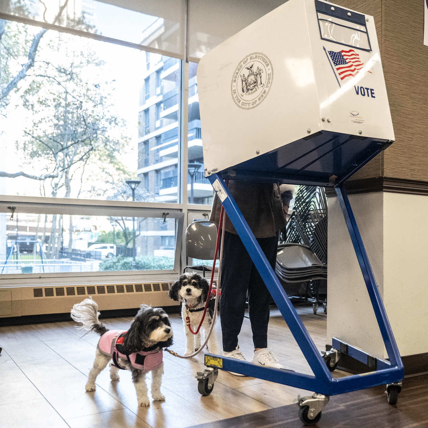 There are major elections this week. Here’s what to watch for.