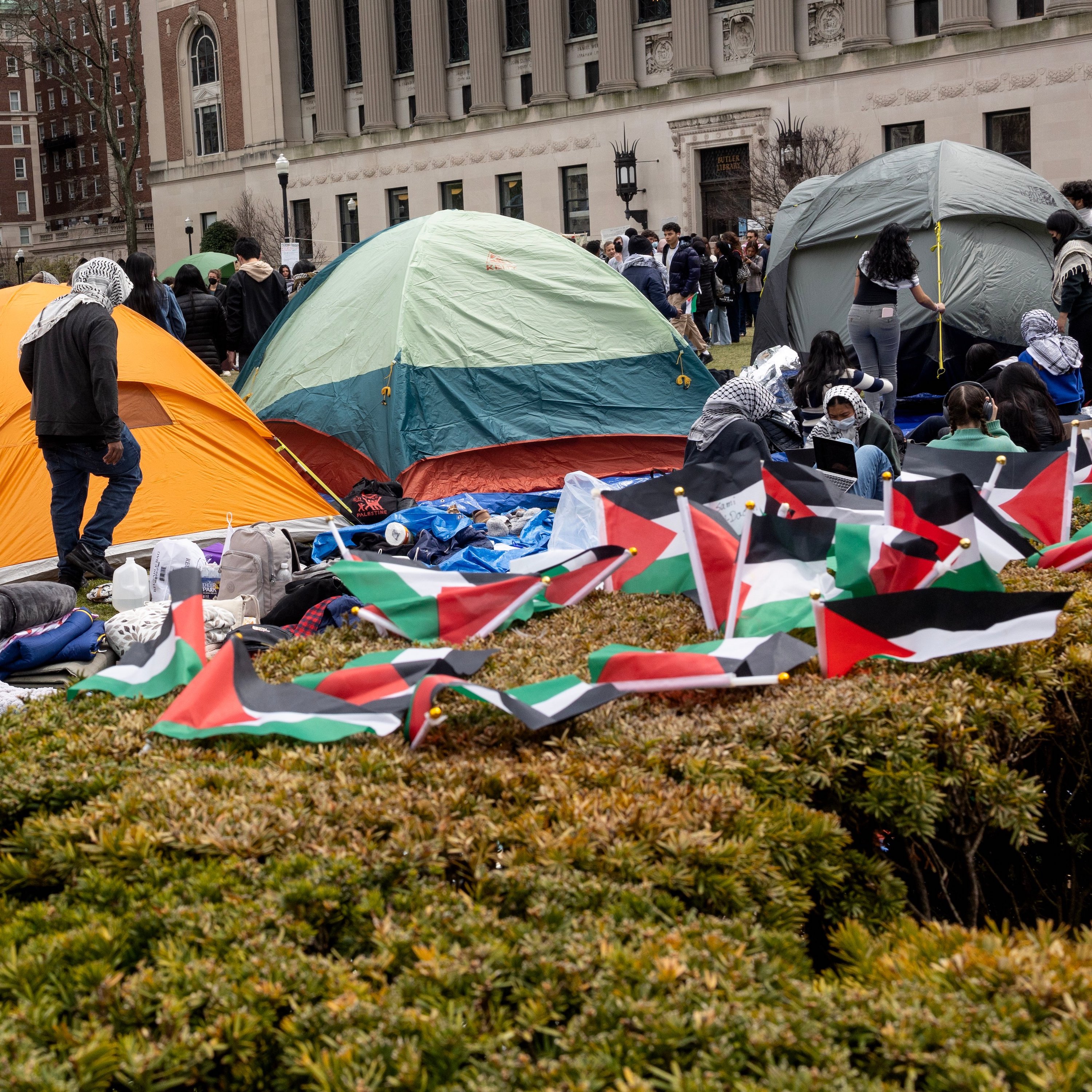 More arrests of college students protesting the war in Gaza