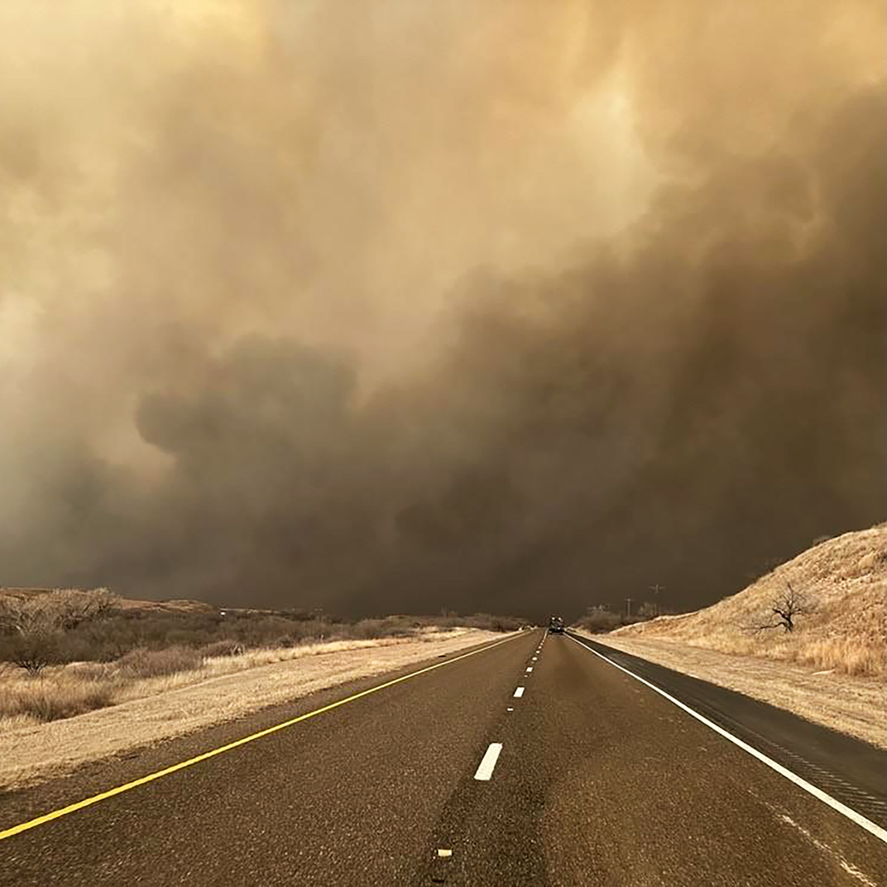 Wildfires have devastated Texas’s cattle industry