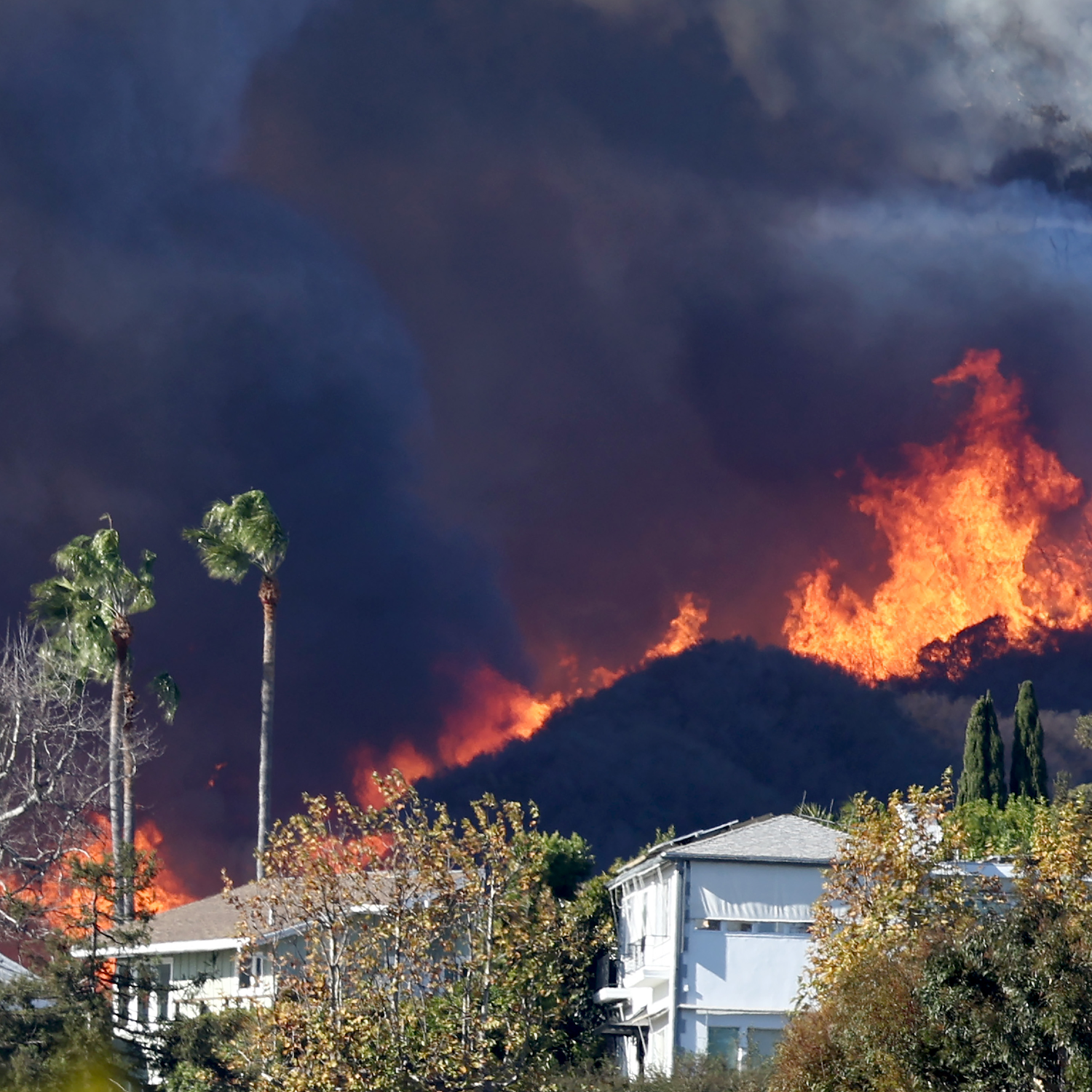 Los Angeles County is burning. Here’s what you need to know.