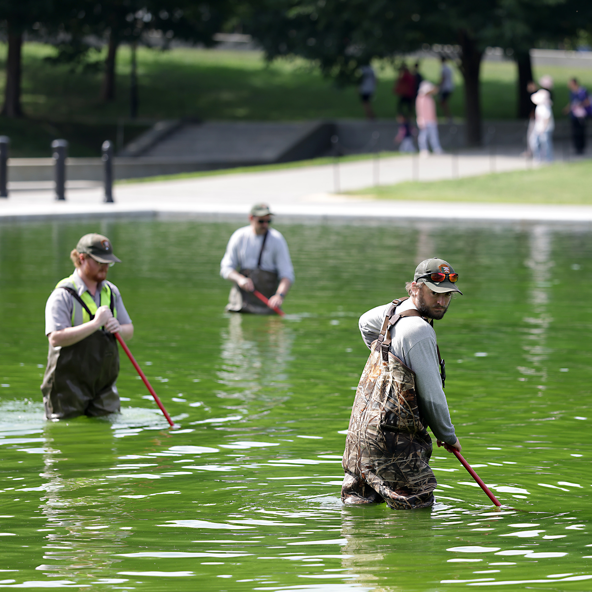 Trump renovated the Reflecting Pool. Now it’s plagued with algae.
